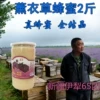 Товары от 魏厂长薰衣草一新疆伊犁六十五团老厂长家新店
