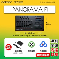 Контроллер, P1