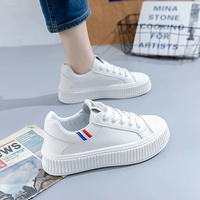 A16 White