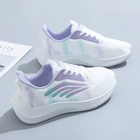 HB882 Purple