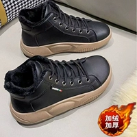 K8607 Black