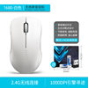 White template, mouse, 4G