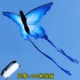 Воздушный змей с бабочкой, 100м