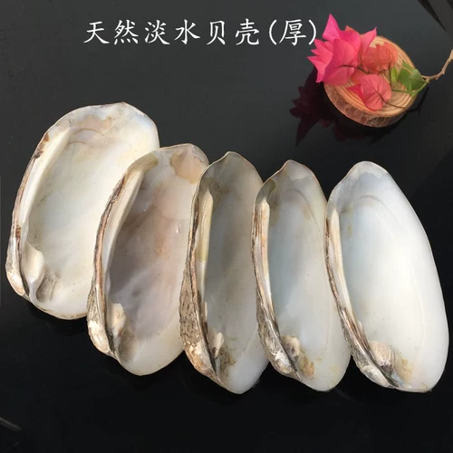 ТАМСУИ ОРИГИНАЛЬНЫЕ ЭКОЛОГИЧЕСКИЕ НАСТОЯЩЕЕ ОБРАЗОВАНИЕ ХАРАКТЕРИСТИКИ