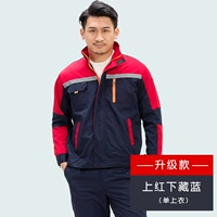 Красная тибетская синяя вершина