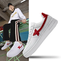 Baihong-9851 Мужская модель