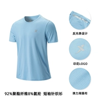 (Быстросохрающая версия) Модель логотипа 1-Mist Blue