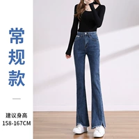 Темно -синяя рутина