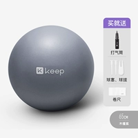 Hibiscus Purple-65см