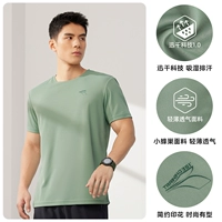 Sequoia green-b-652524113