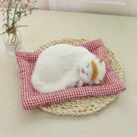 Большой называется желто -очищенным кошачьим красно -белой сетью