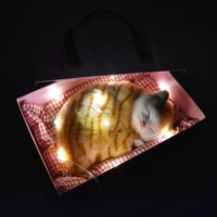 Большой размер будет называться Garfield Cat String Light Gift Box