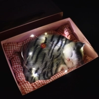 Большой размер будет называться Qingdao Cat String Light Light Light Light Box