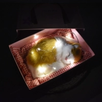 Большой размер будет называться желтым блоком кошачьей подарочной коробкой для кошачьей подарочной коробки