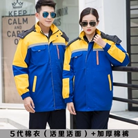 5 Dai Bao Blue and Yellow Plound (живая лапша)+хлопчатобумажные брюки с утолщающими