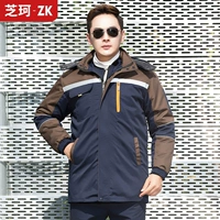 5 поколений тибетских синих кофейных плеч (снесенная внутренняя желчь)