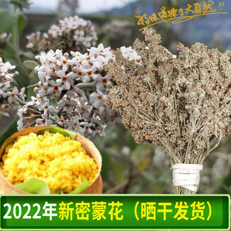 贵州广西特产新鲜野生密蒙花染饭花糯米花植物染料花米饭黄饭花
