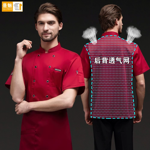 Летняя шеф-повар Работающую одежду с коротки