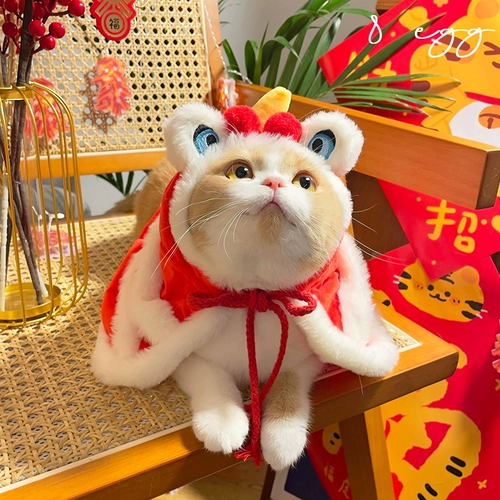 8 Яйцо/Тигр Новый год Лев влажный ~ новогодние новогодние домашние кошки кошачьи собаки Собаки меняют Новый год