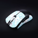Blue Yugou Dog Lizard v3es
