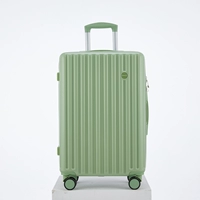 03 Принесите круговой матч-зеленый