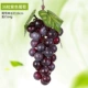 36 Фиолетовый виноград