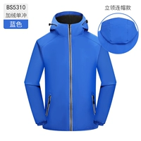 Мужчины и женские голубые -BS5310