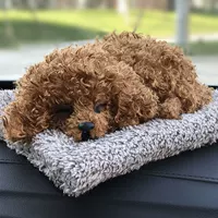 Teddy- 【Внутренние 200 граммов кристалла наним руды】