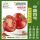 Около 200 капсул в Китае овощ № 4