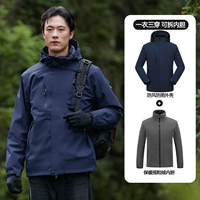 Цветооризованный тибетский тибетский зеленый (разборка внутренней орхидеи)