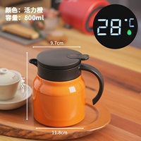 800 мл Vitality Orange (Xianwen+Tea Grid) 316 Food Grade