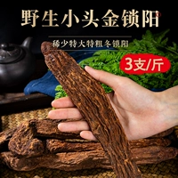 Верховное Гансу Golden Suoyang Special 500G Whole Roots Foaming Wine, мужское питание с Cistanus 苁 上 上 上 上 上 上 上 上