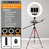 Микрофон, 22 дюймов, 56см