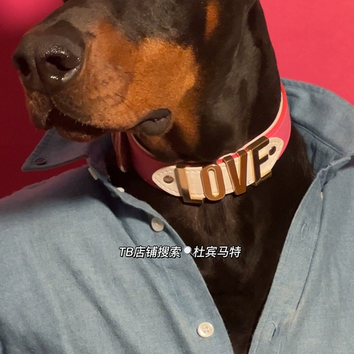 Dubinste Original Macho мужской порошок большой собачий буква Love Pett