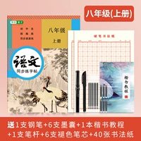 Китайские синхронные тома 8 -го класса+