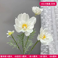 4 Посадка головы Mogan Flower White White