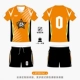 GPVD#041 Orange