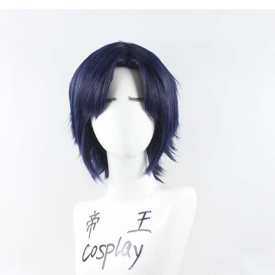 taobao agent Emperor Cosplay wig Motor soldiers SEED COS Aslan Sara custom fake hair