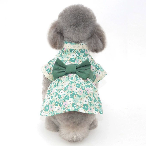 Домашняя кошка одежда одежда Тедди Бомеби медведь медведь кедр маленькая собака летние летние