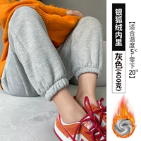 Серый [напряжение серебряной лисы под 10 ° C-Conventional Model] Износ ниже 165