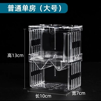 Обычная единая комната (большая)