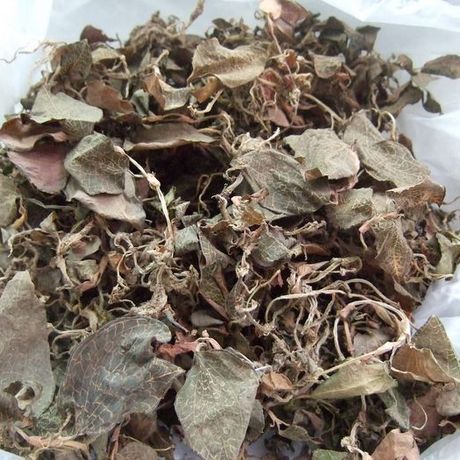 50克野生金线莲干品中草药整株福建南靖养生茶礼品盒云水谣