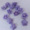12mm条纹梅花紫罗兰