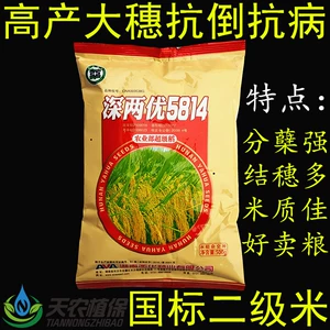 Shenliangyou 5814 гибридные семена риса Indica, семена риса с высокой урожайностью, устойчивостью к болезням и устойчивости к полеганию, Hunan Yahua, бесплатная доставка, 500 г