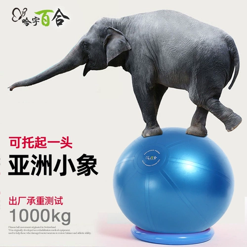 Четырехвупированный фитнес -шарик сгущенный взрыв -Весотальный вес 1000 кг йога Шайский швейцарский швейцарский швейцар
