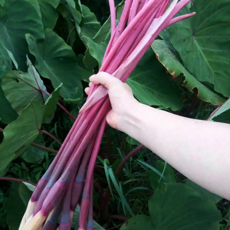 爱逛街为您找到花花蕾相关的宝贝,您可以在下面的板块中挑选喜欢的