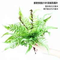 Новые мягкие резиновые 21 темно-зеленый лист феникса.