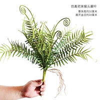 Положите голову обезьяны и уходит