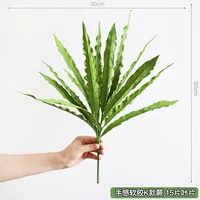 Мягкий папоротник в стиле K