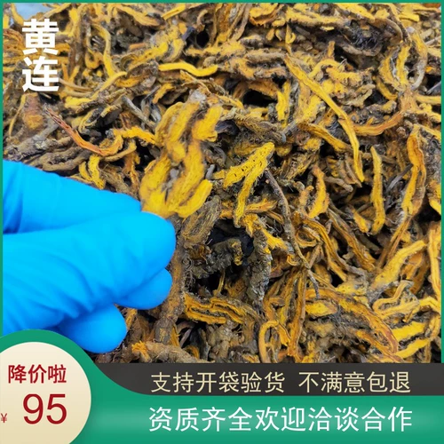 ДАПЕНГИЙ КИТАЙСКИЙ МЕРТИЧЕСКИЙ МАТЕРИАЛ ХУАНГЛИЙН ЧУНУНС СИЧУАН, Цзян Лиан, Чуанхуанглиан 500 Грам.